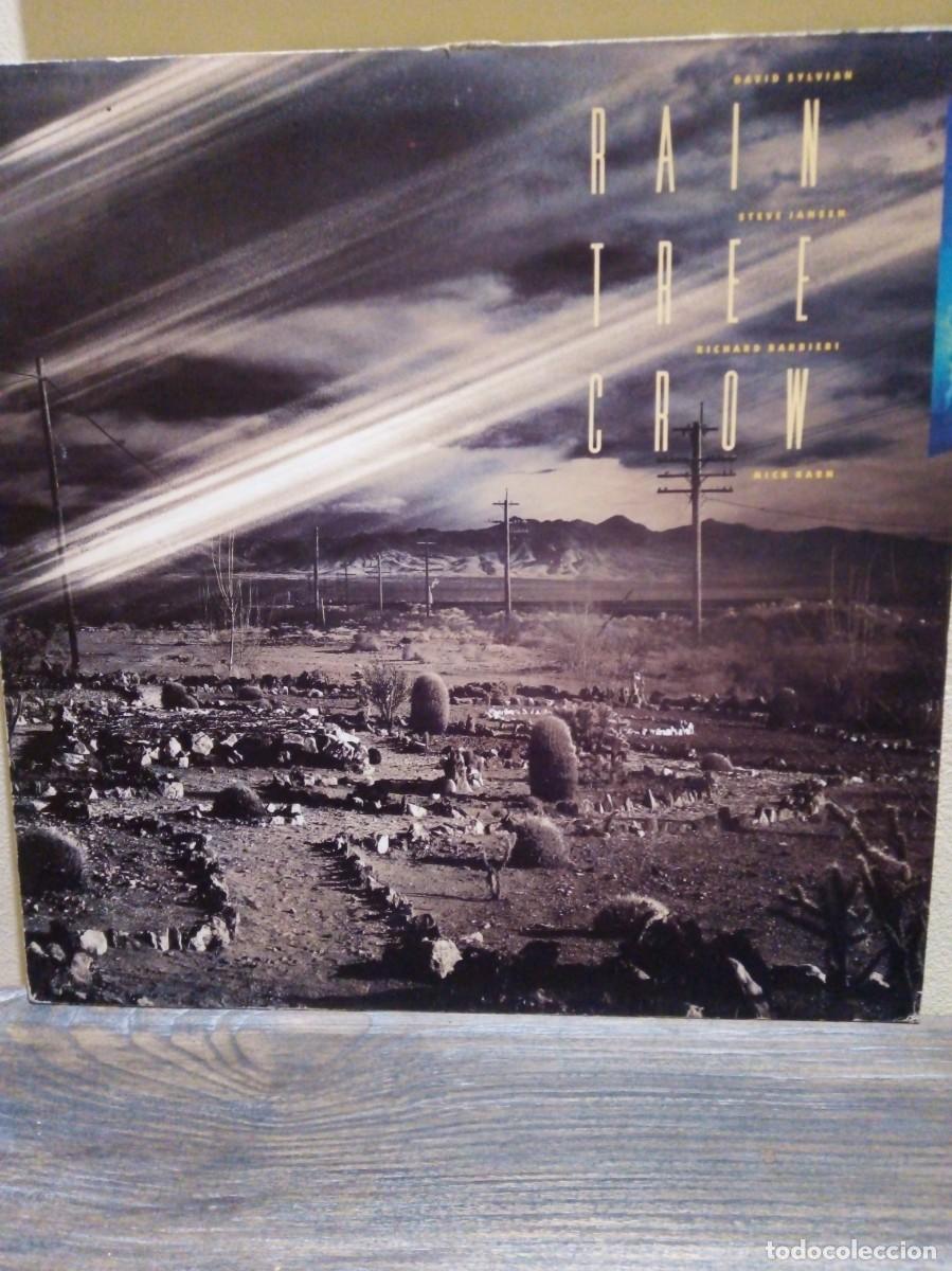 Discos de vinilo: Rain, Tree Crow 1991. - Foto 1