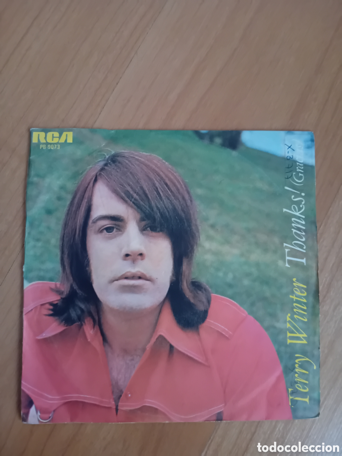 Discos de vinilo: TERRY WINTER. THANKS! - Foto 1
