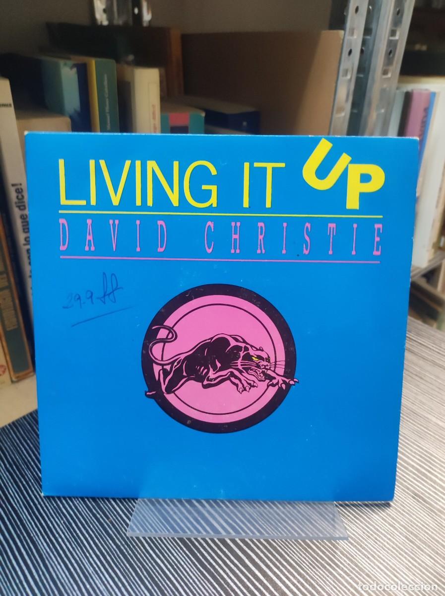 Discos de vinilo: David Christie &ndash; Living It Up - Foto 1