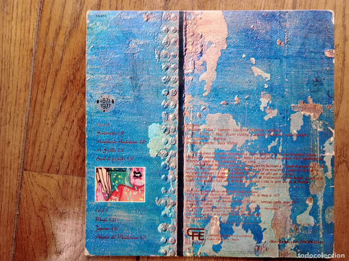 Discos de vinilo: Iceberg - sentiments - Foto 4