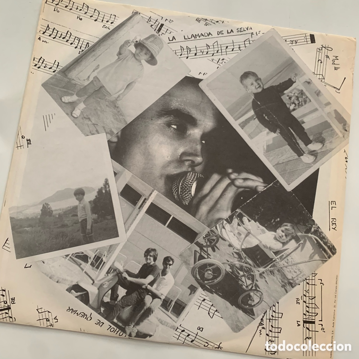 Discos de vinilo: lp Serie B &lrm;&ndash; La Llamada De La Selva de 1988 - Foto 4