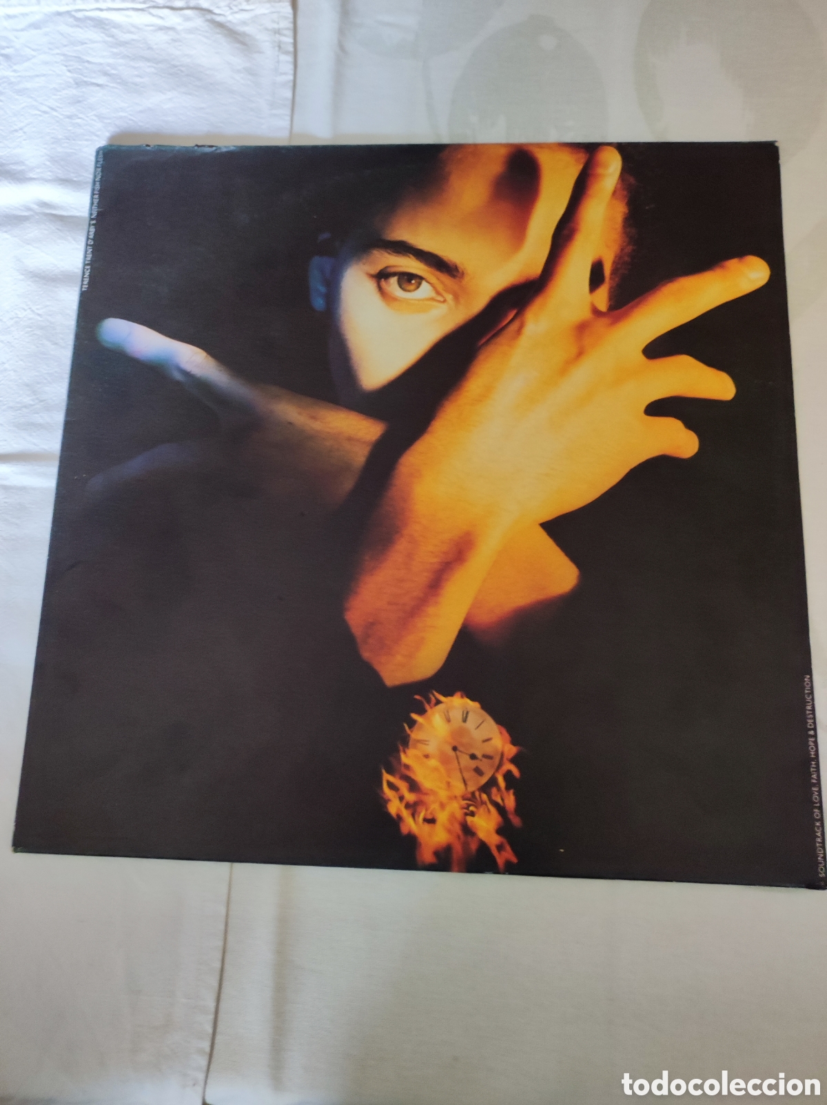 Discos de vinilo: TERENCE TRENT D'ARBY - NEITHER FISH NOR FLESH
