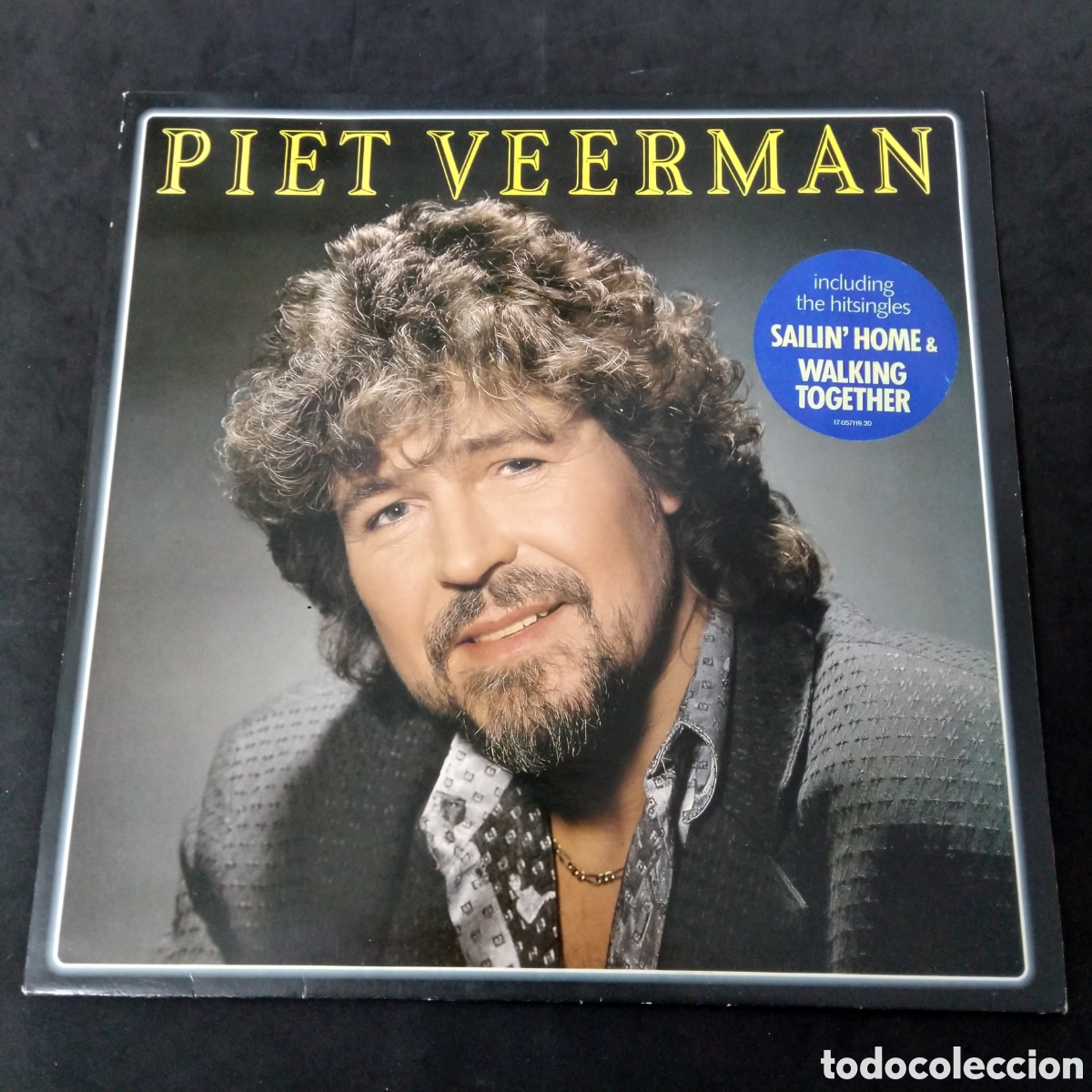 Discos de vinilo: PIET VEERMAN - PIET VEERMAN - LP - 1987 - INCLUYE FUNDA INTERIOR CON LETRAS - EX THE CATS