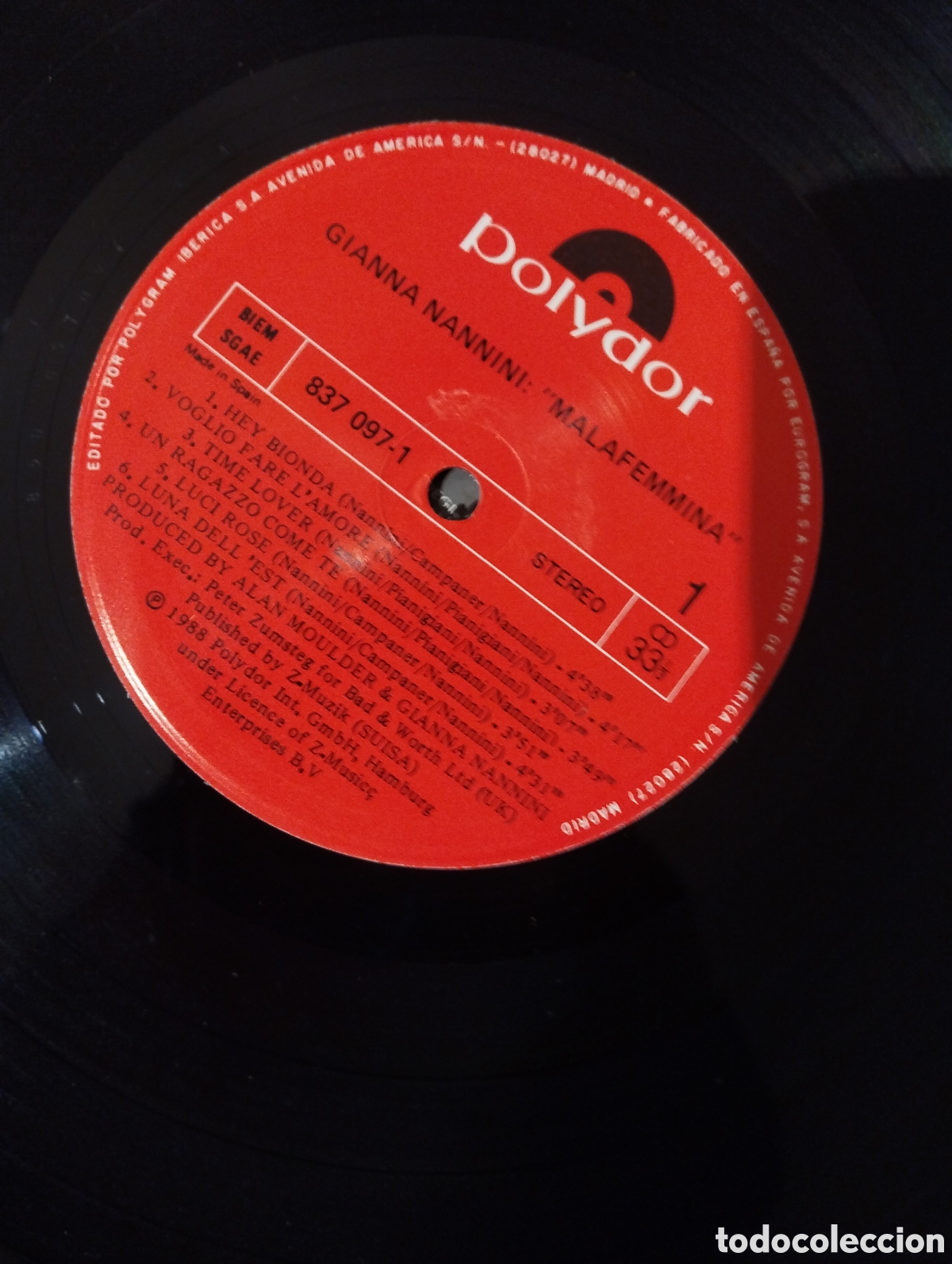 Discos de vinilo: GIANNA NANNINI.MALAFEMMINA - Foto 3