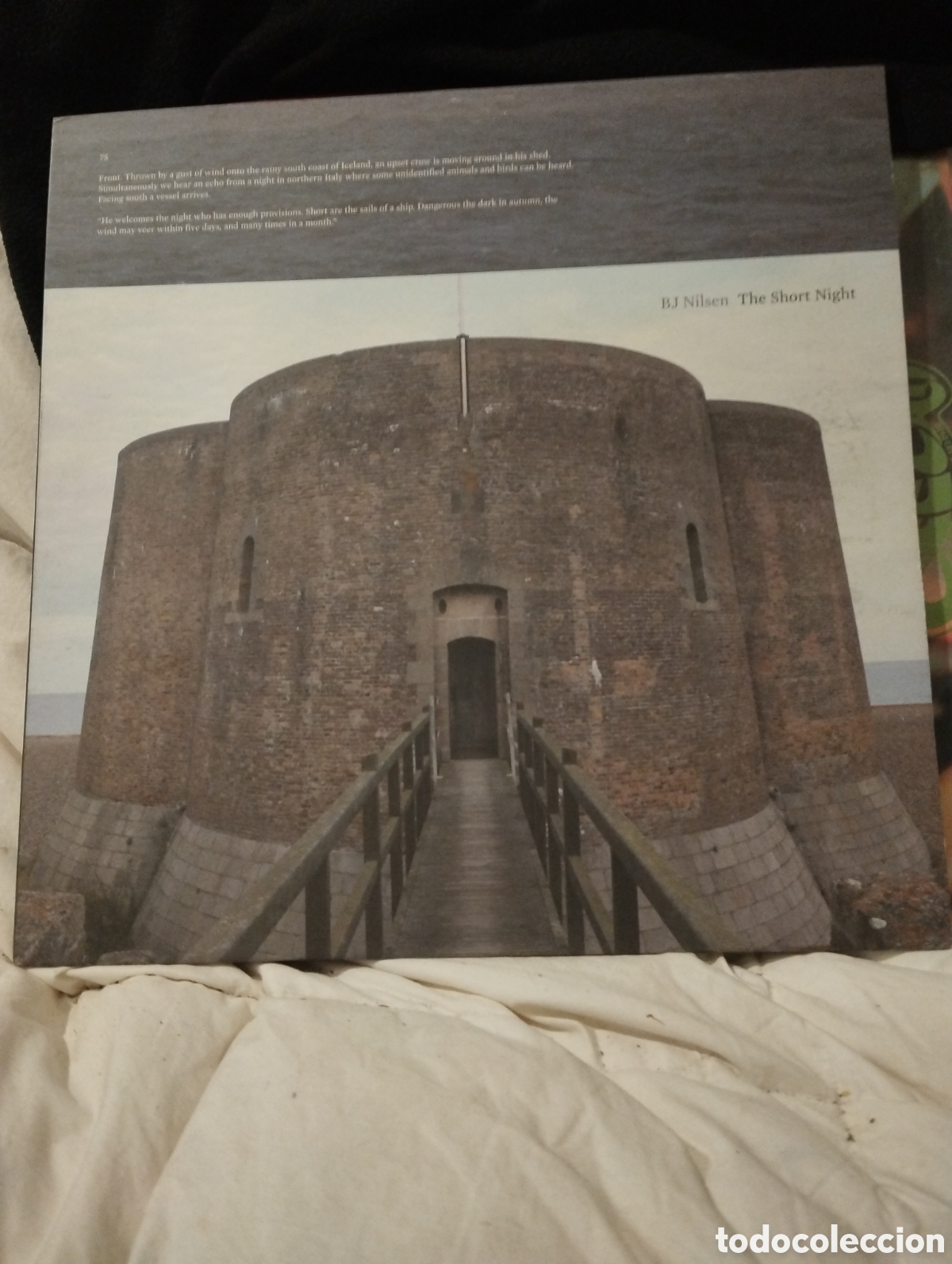 Discos de vinilo: BJ NIELSEN , THE SHORT NIGHT - Foto 1