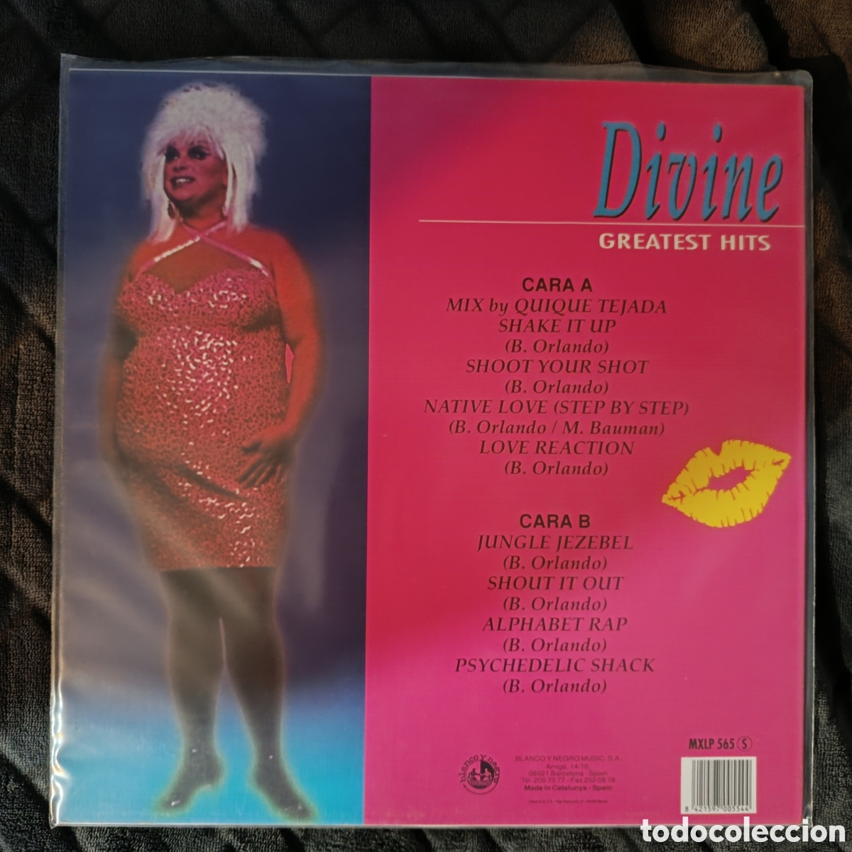 Discos de vinilo: Divine - Greatest Hits - Foto 2