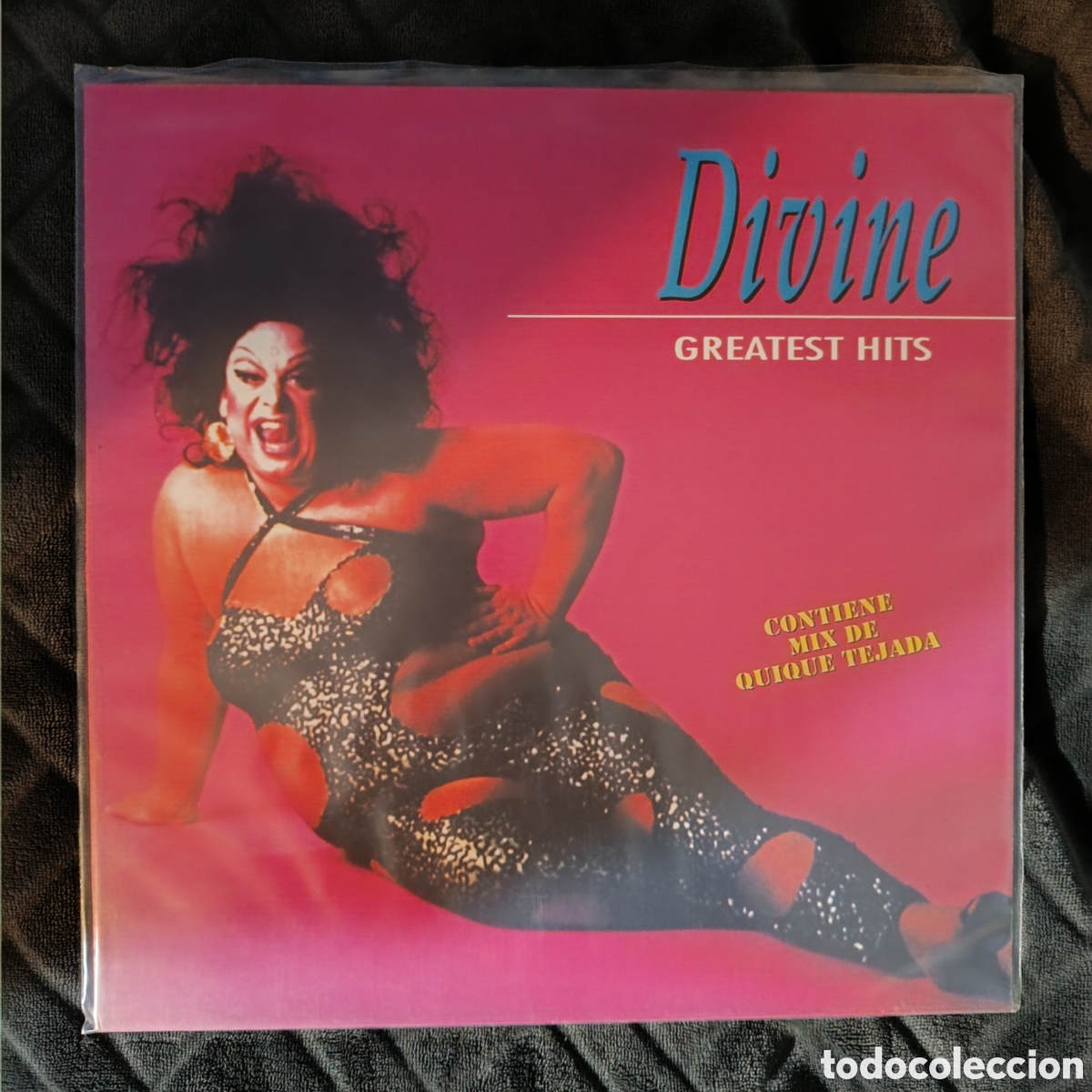 Discos de vinilo: Divine - Greatest Hits - Foto 1
