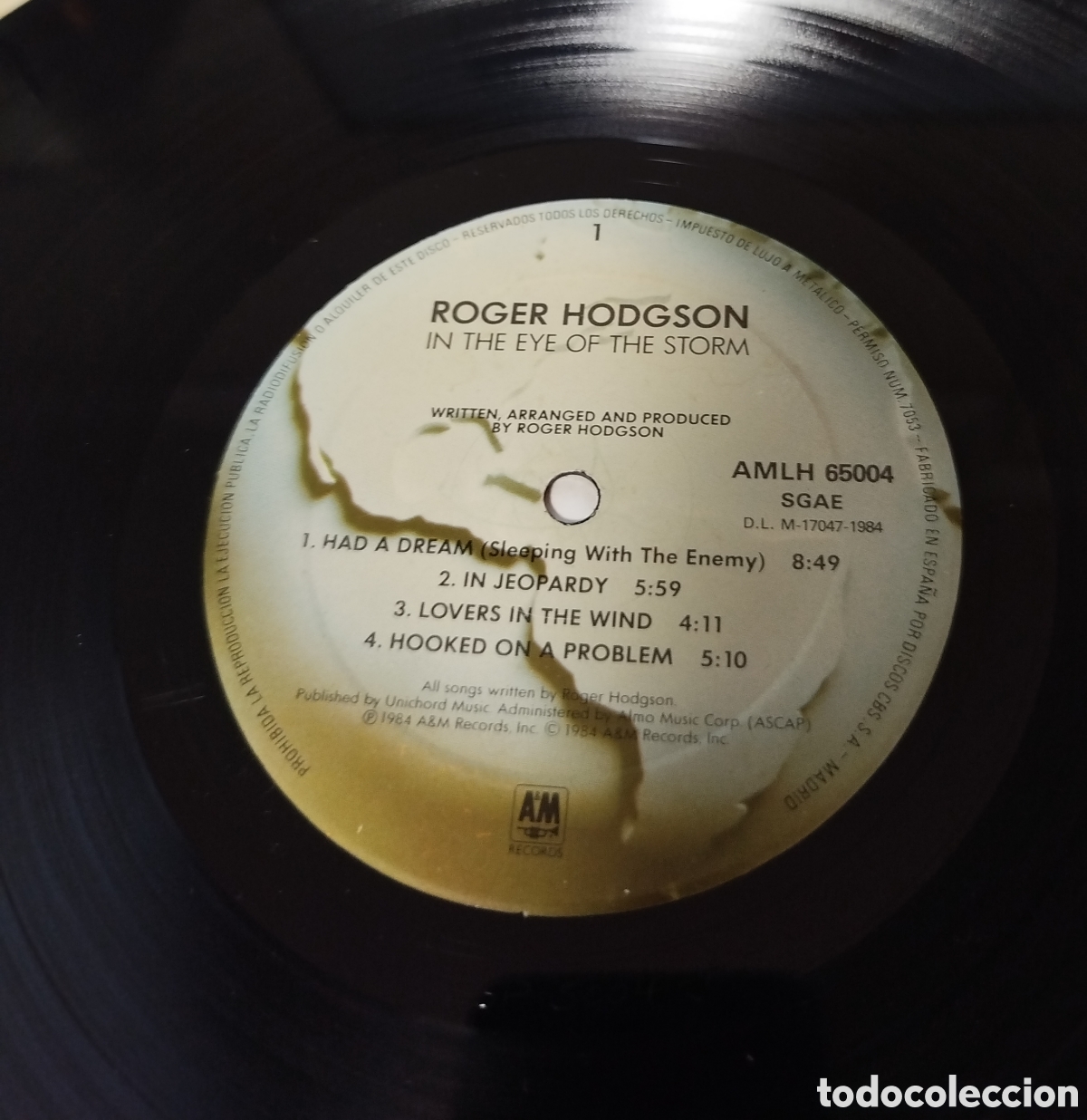 Discos de vinilo: Roger Hodgson - In the eye of the storm. SOLO DISCO