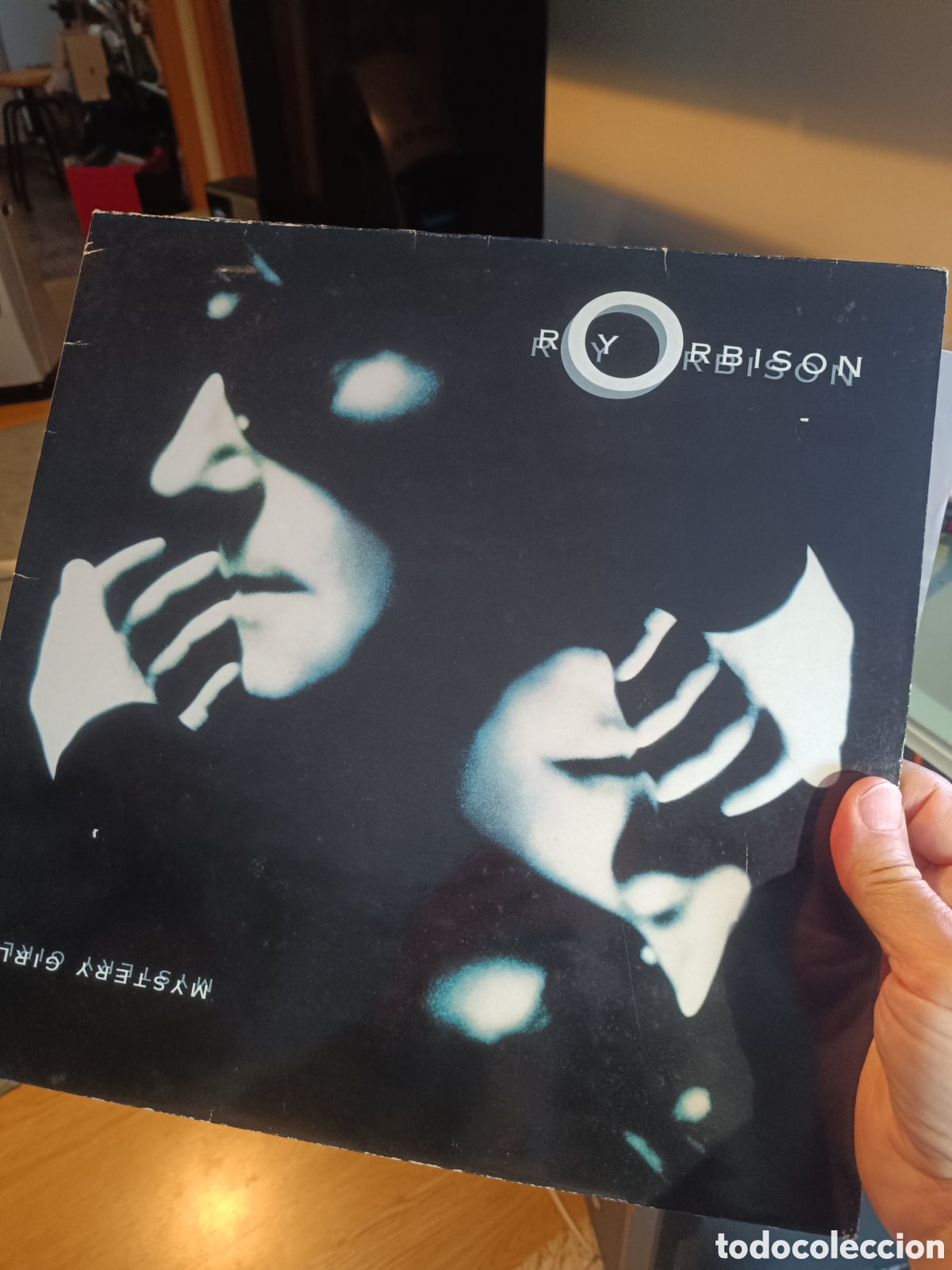 Discos de vinilo: Roy Orbison &ndash; Mystery Girl - Foto 1