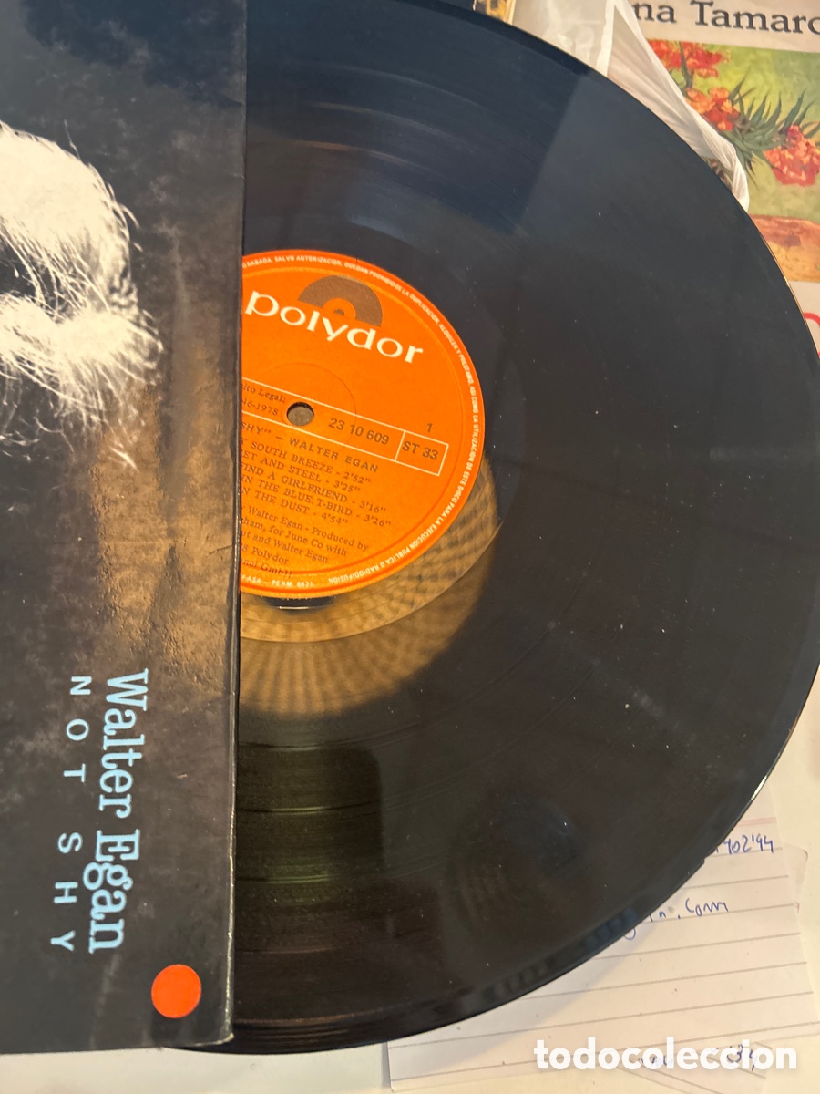 Discos de vinilo: Walter Egan: not shy. Lp vinilo - Foto 3