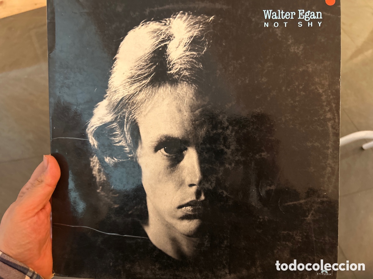 Discos de vinilo: Walter Egan: not shy. Lp vinilo - Foto 1