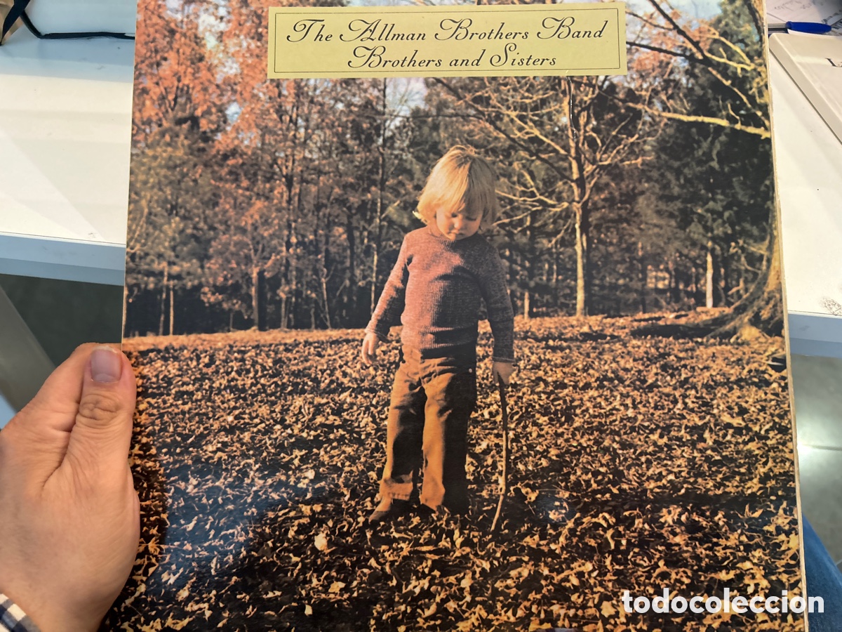Discos de vinilo: The Allman brothers band brothers and sisters