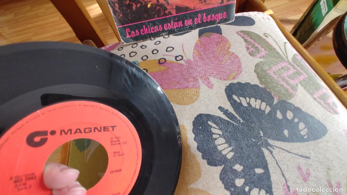 Discos de vinilo: MATCHBOX-SINGLE LAS CHICAS ESTAN EN EL BOSQUE - Foto 3