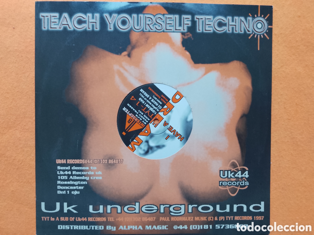 Discos de vinilo: Intersepter &lrm;&ndash; I Have A Dream - TYT records 1997 uk - Foto 1