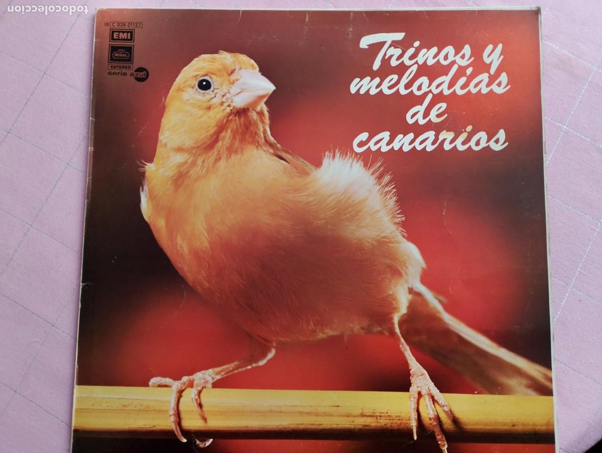 Discos de vinilo: trinos y melodias de canarios, 1976 - Foto 2