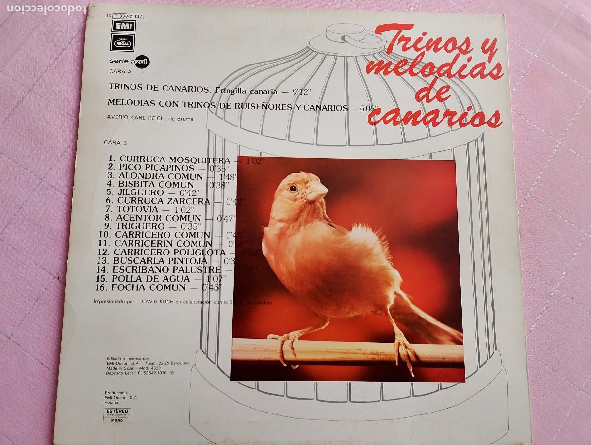Discos de vinilo: trinos y melodias de canarios, 1976 - Foto 4