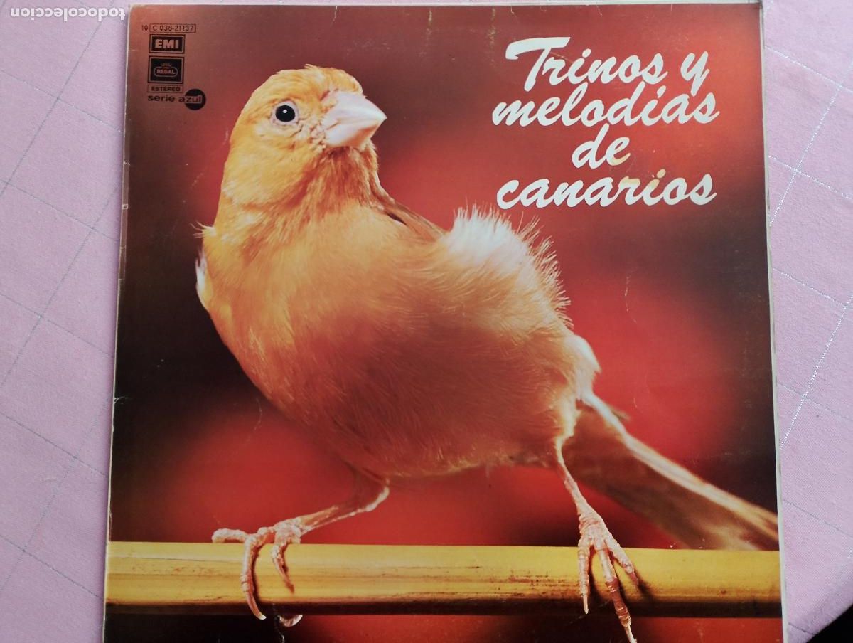 Discos de vinilo: trinos y melodias de canarios, 1976 - Foto 1
