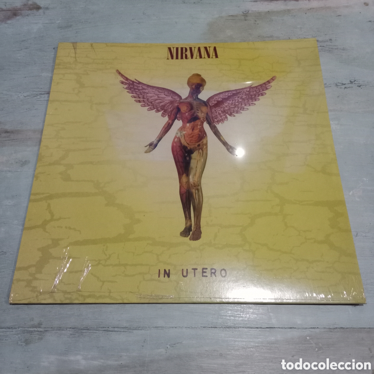 Discos de vinilo: NIRVANA - IN UTERO - LP - Foto 1