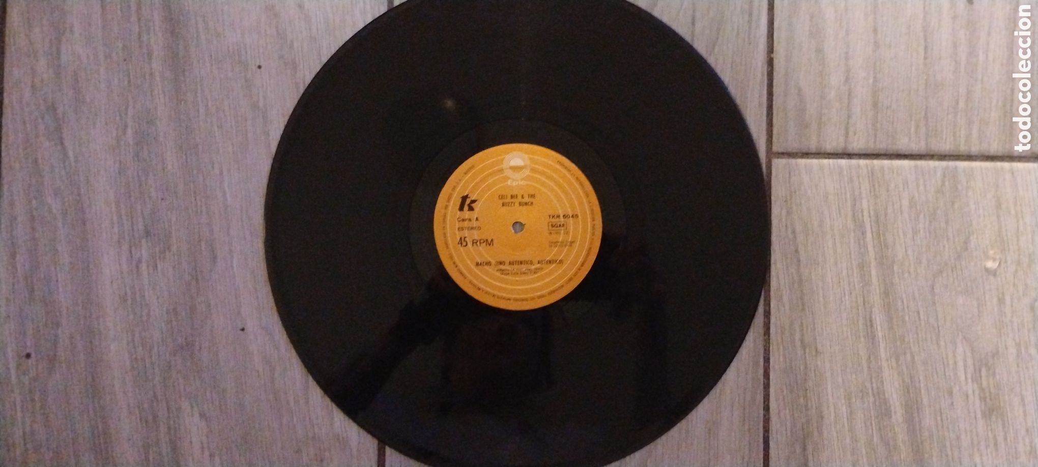 Discos de vinilo: CELI BEE & THE BUZZY BUNCH-MACHO-MAXI-EPIC/SPAIN-IB - Foto 5