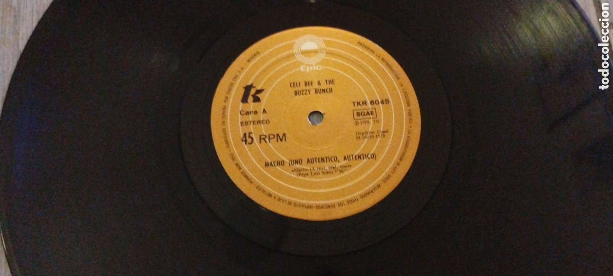 Discos de vinilo: CELI BEE & THE BUZZY BUNCH-MACHO-MAXI-EPIC/SPAIN-IB - Foto 3