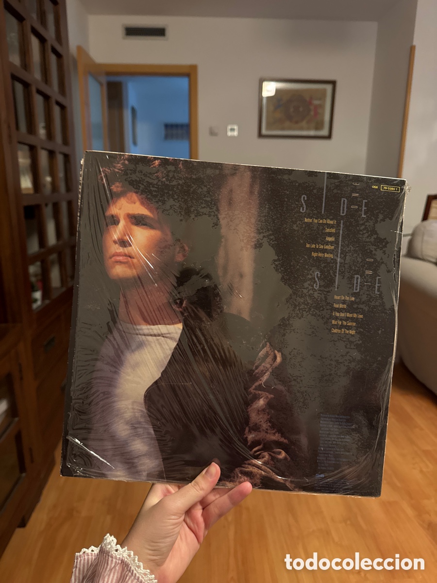 Discos de vinilo: Disco vinilo Richard Marx &ldquo;Repeat Offender&rdquo; - Foto 2
