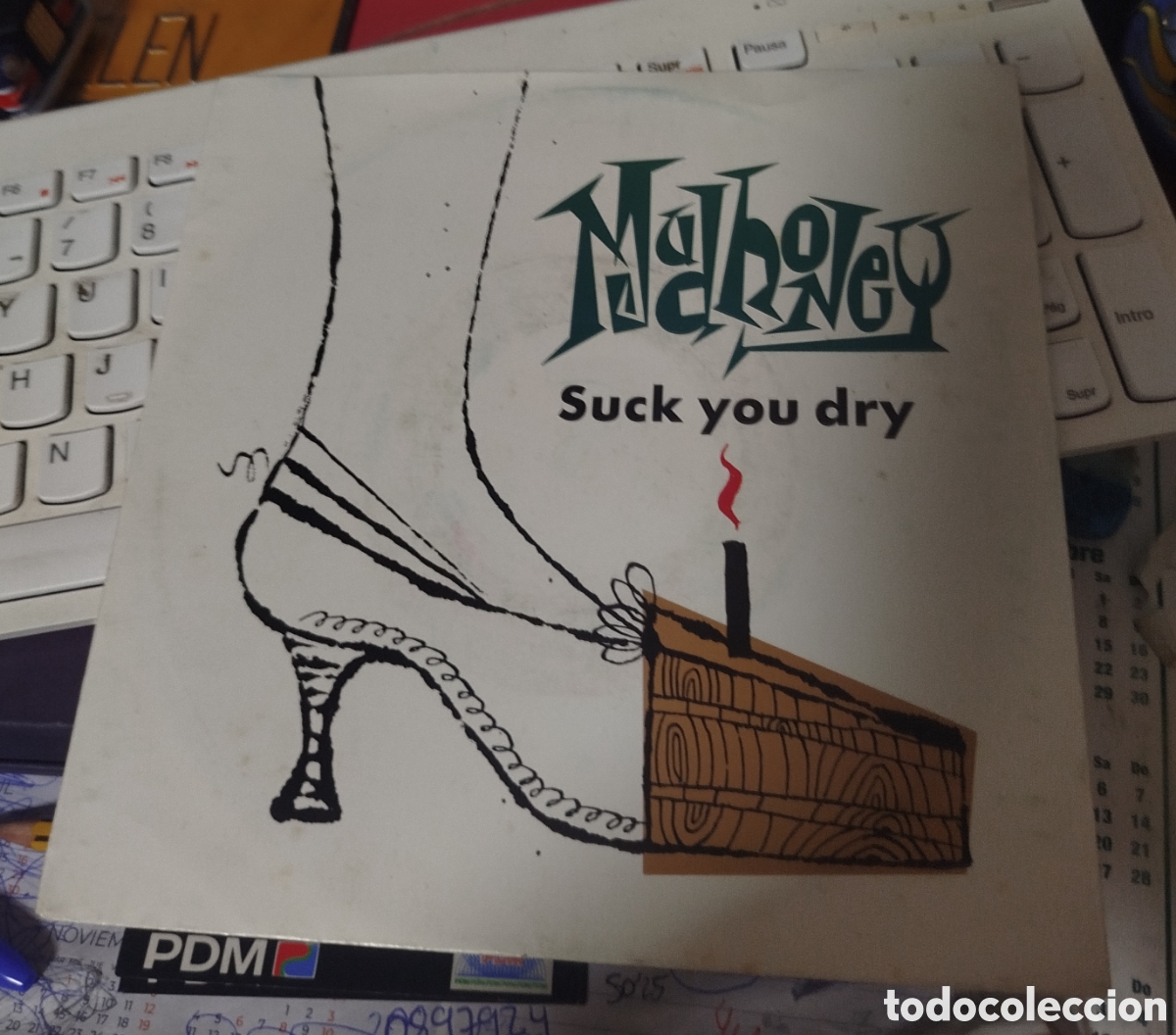 Discos de vinilo: Mudhoney&nbsp;&ndash;&nbsp;Suck You Dry - Foto 1