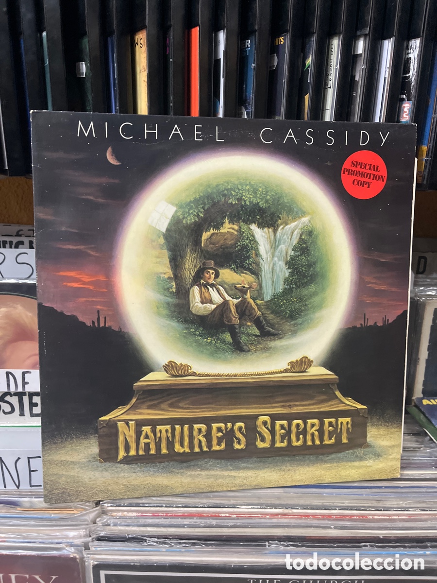 Discos de vinilo: michael cassidy natures secret - Foto 1
