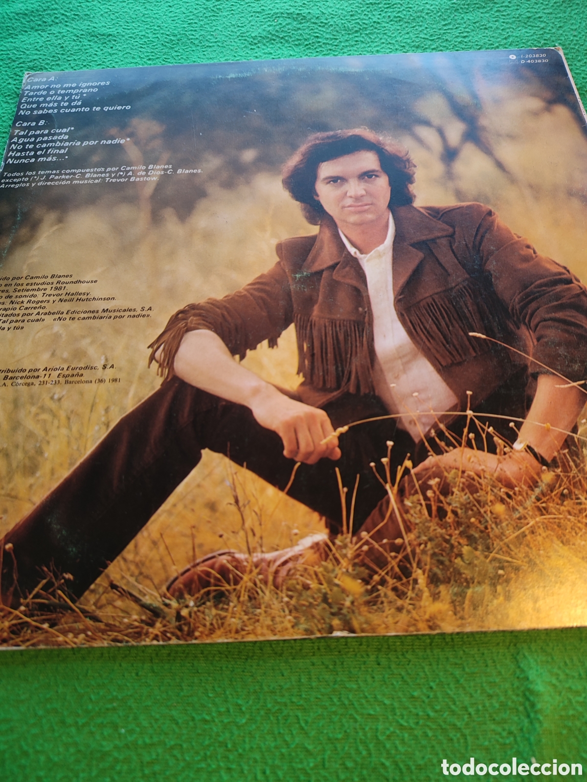 Discos de vinilo: Camilo Sesto - M&aacute;s y m&aacute;s 1981 - Foto 2