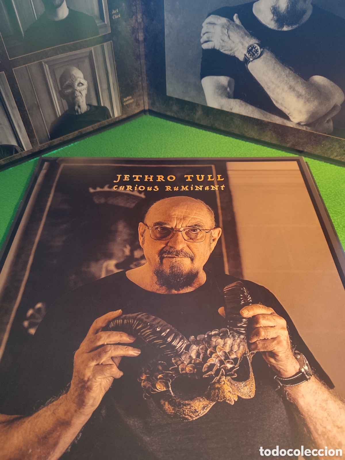 Discos de vinilo: Jethro Tull - Curious Ruminant 2025 - Foto 3