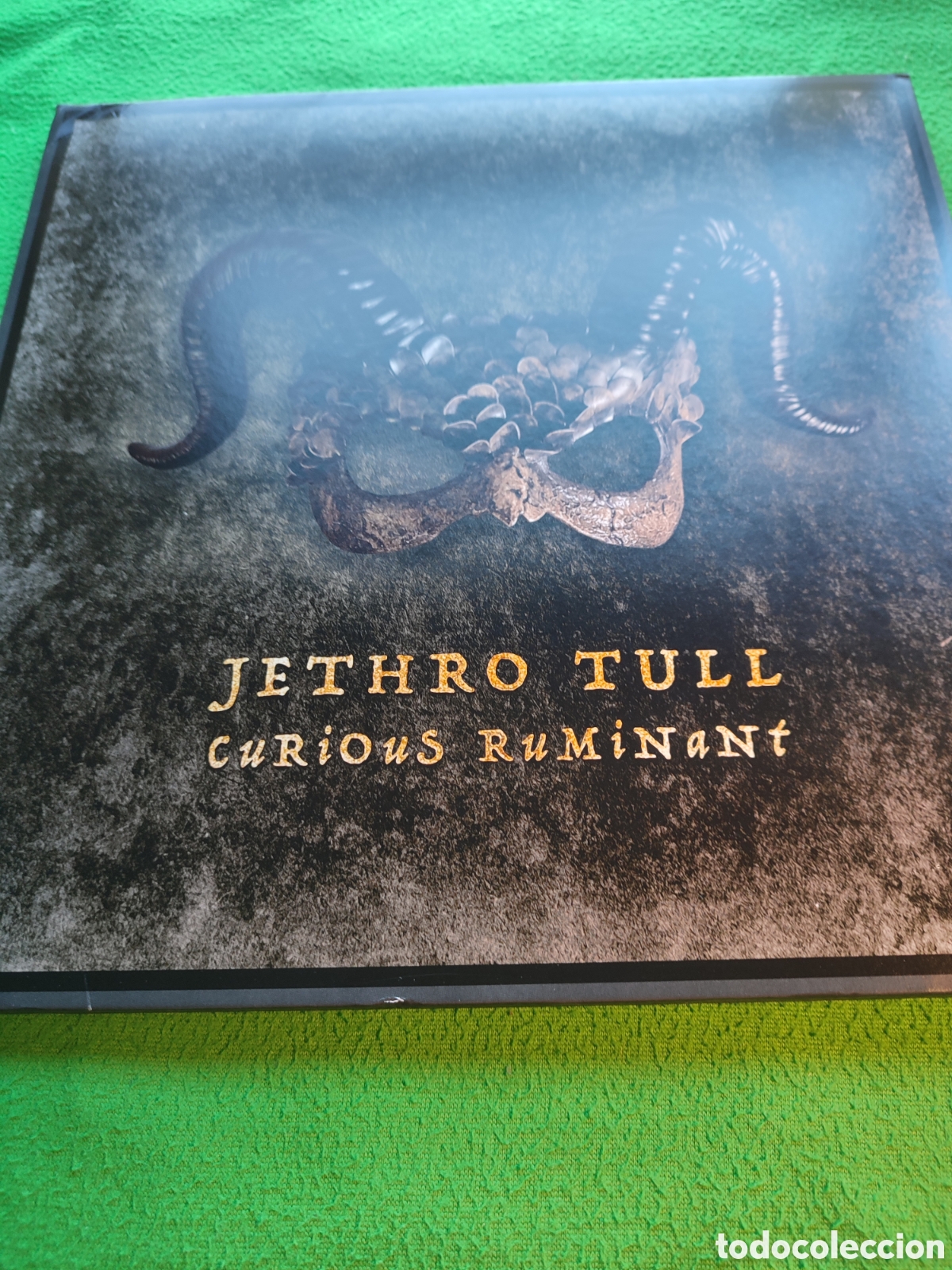 Discos de vinilo: Jethro Tull - Curious Ruminant 2025 - Foto 1
