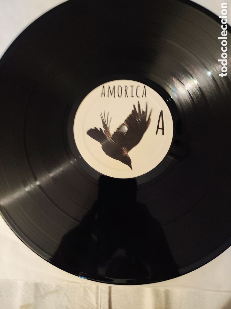 Discos de vinilo: THE BLACK CROWES - AMORICA - Foto 3