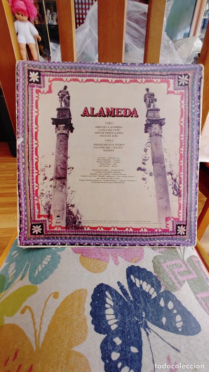 Discos de vinilo: ALAMEDA-LP ALAMEDA-GATEFOLD - Foto 3