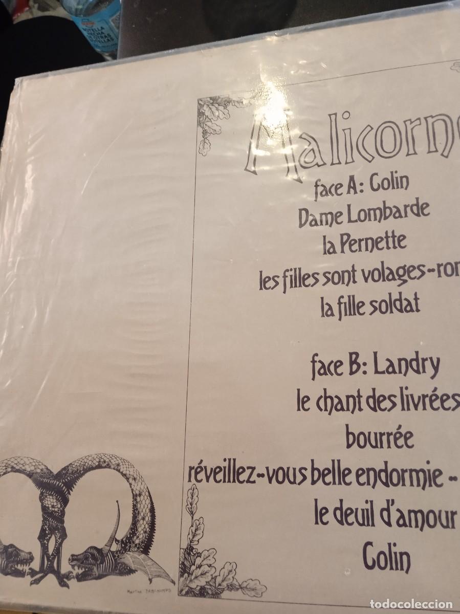 Discos de vinilo: MALICORNE- MALICORNE. LP - Foto 2