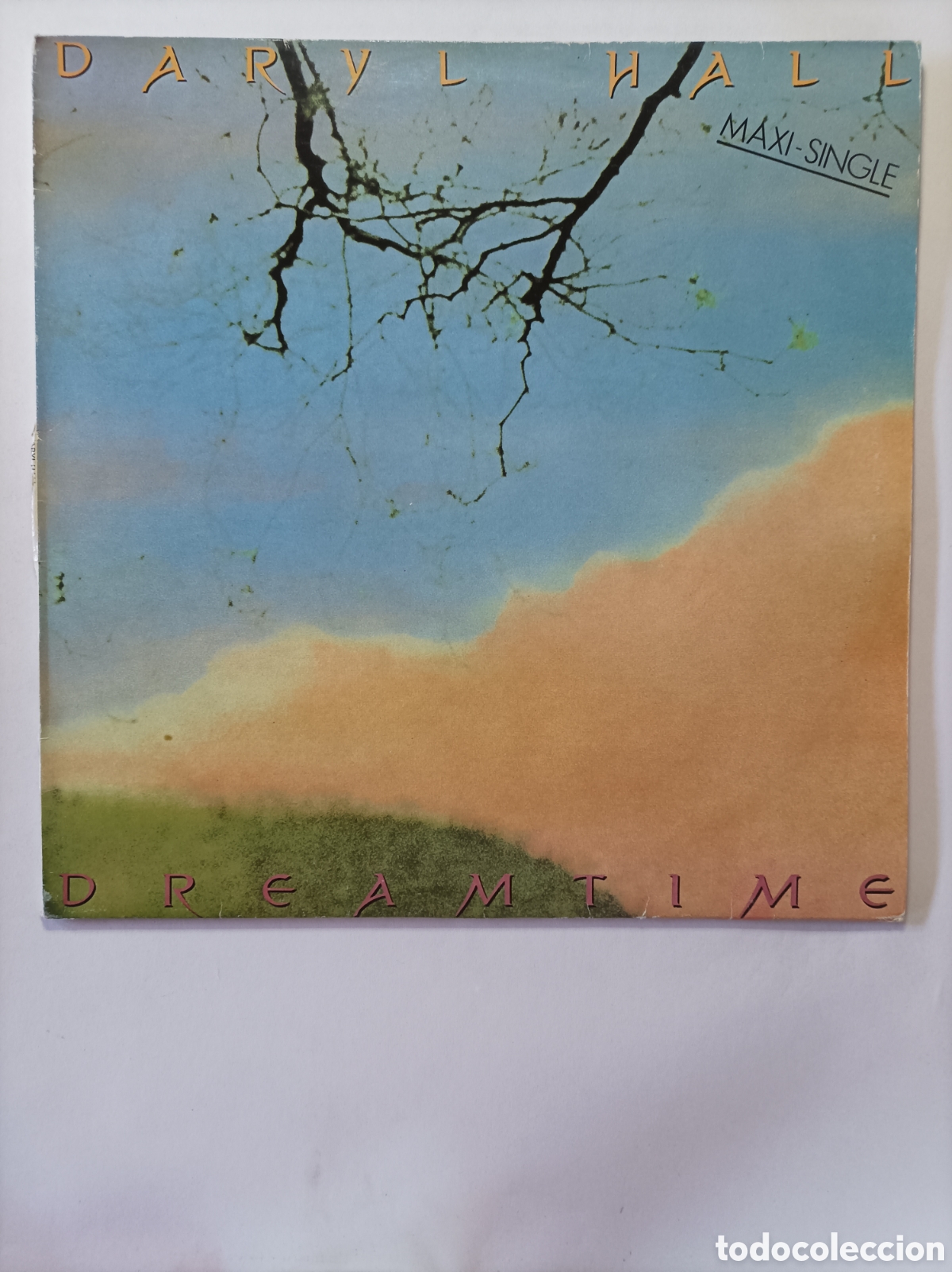 Discos de vinilo: DARYL HALL. DREAMTIME. RCA. MAXI SINGLE DISCO VINILO. - Foto 1
