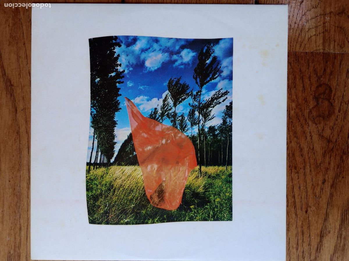 Discos de vinilo: Pink Floyd - wish you were here - Foto 4