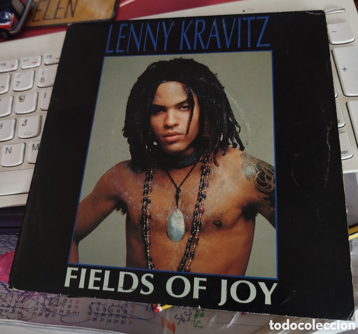 Discos de vinilo: Lenny Kravitz &ndash; Fields Of Joy. - Foto 1