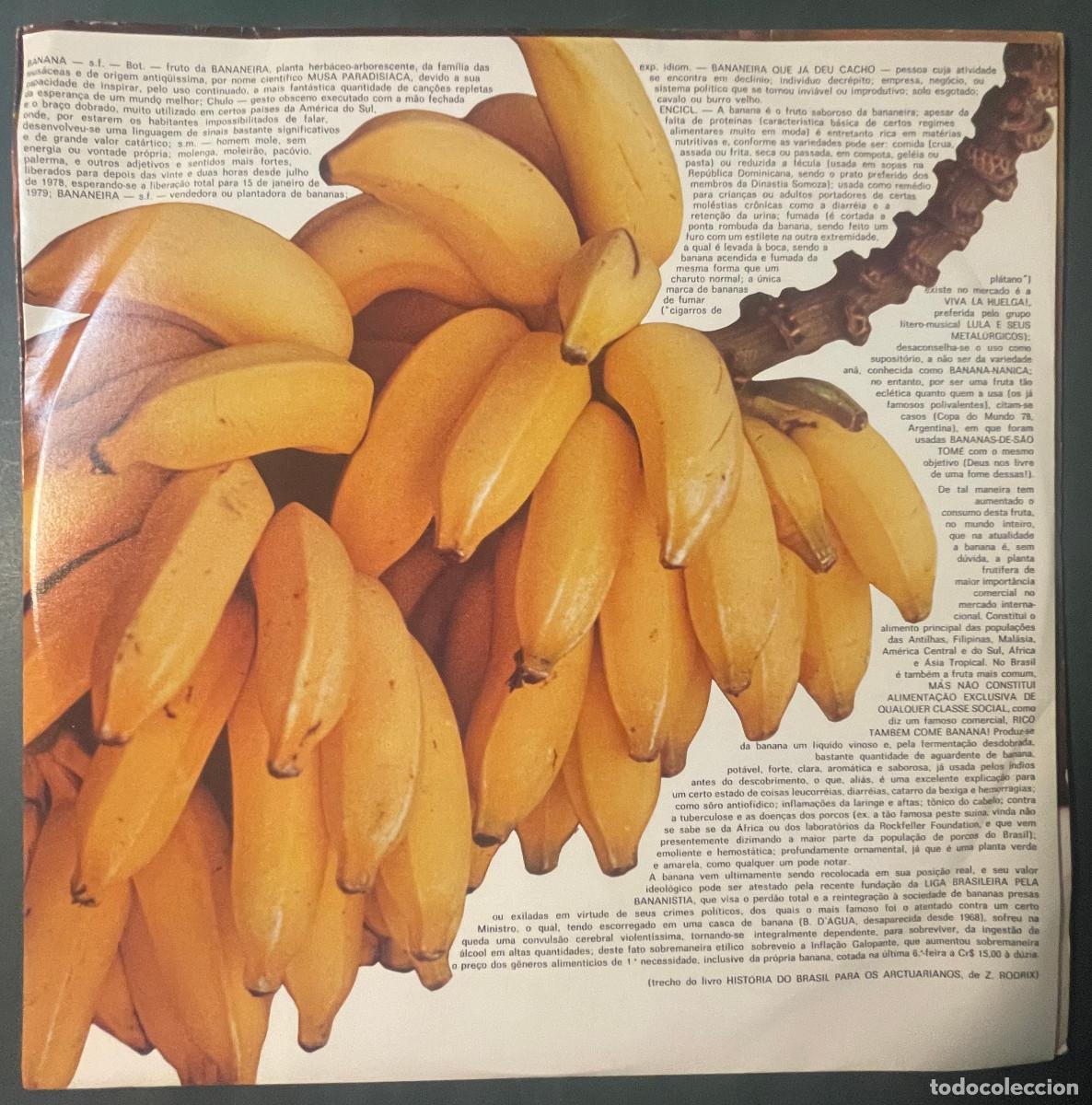 Discos de vinilo: ZE RODRIX / HORA EXTRA (LP EMI ODEON 1978) BRASIL - Foto 3