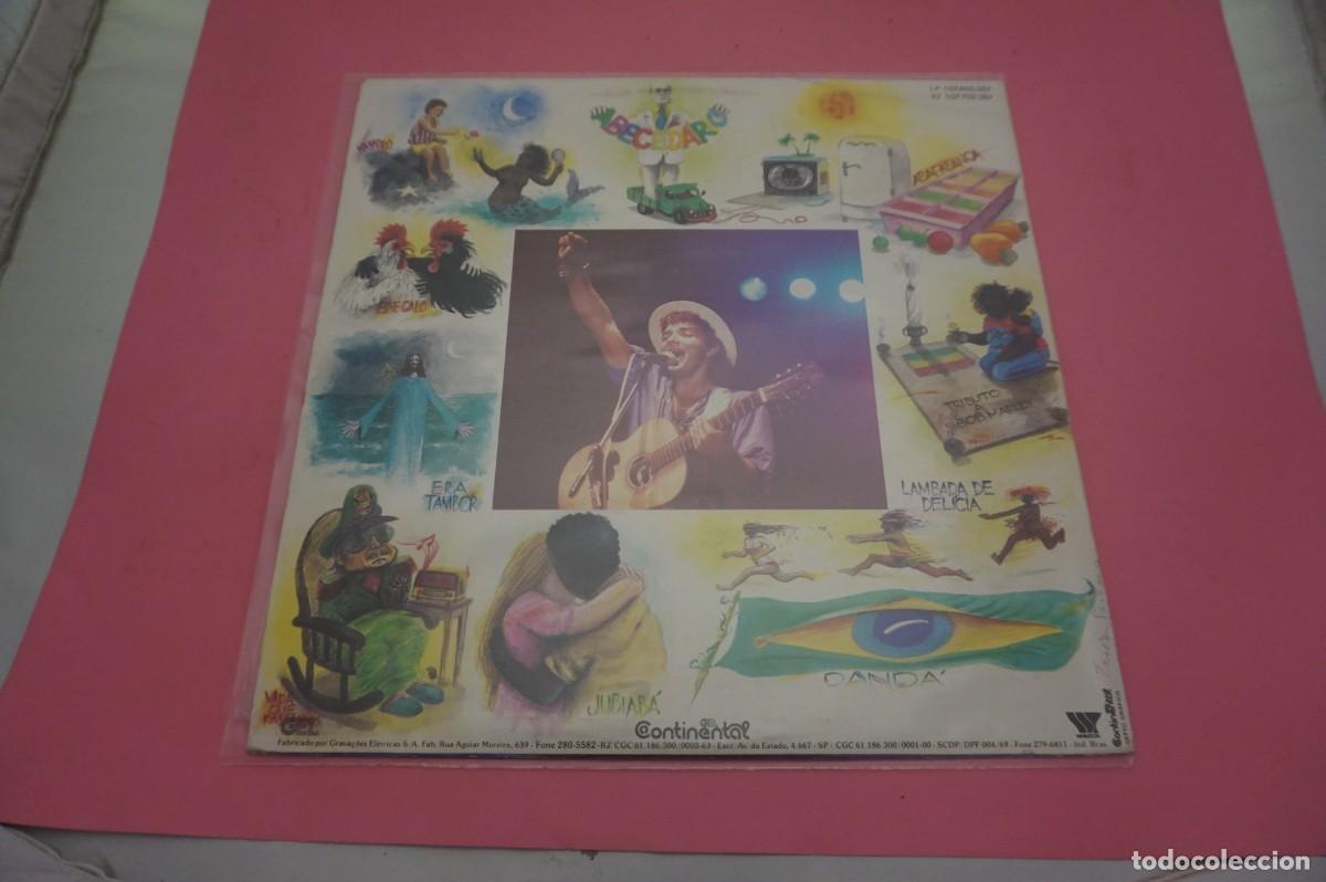 Discos de vinilo: LP - GERONIMO - DANDA - Foto 3
