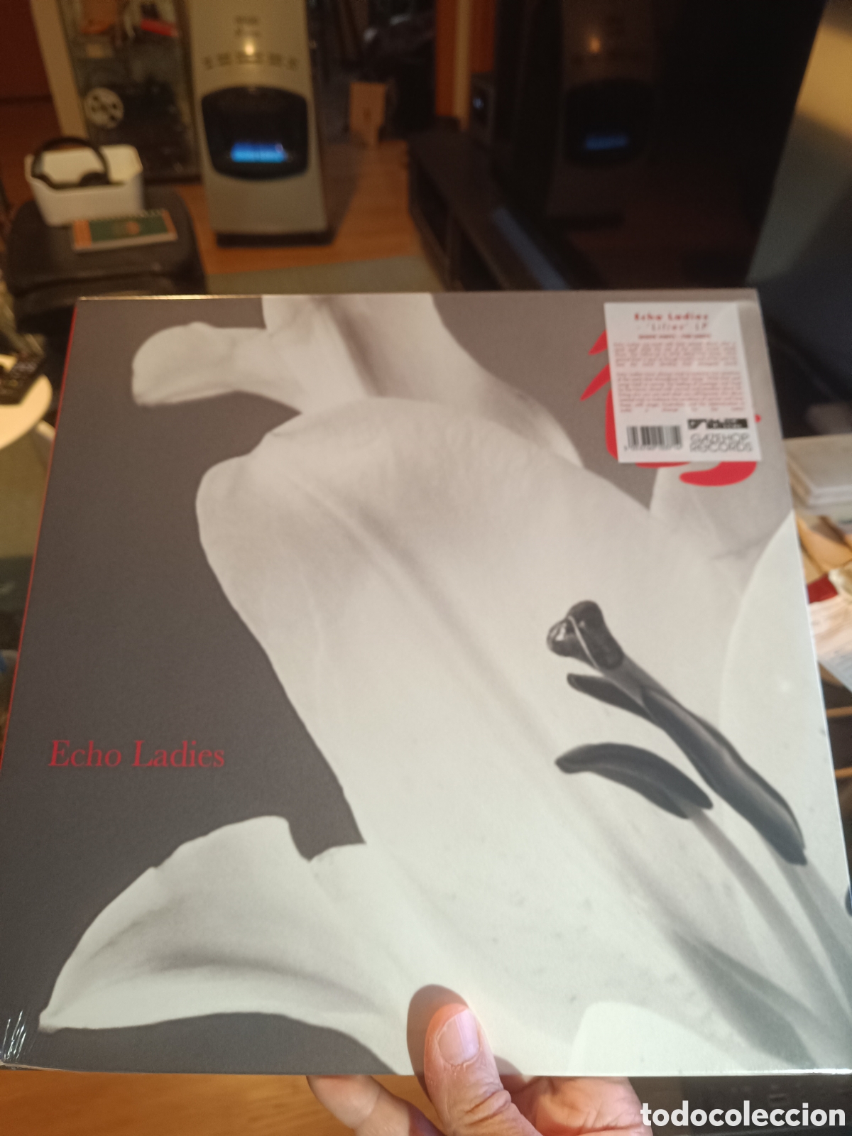 Discos de vinilo: Echo Ladies &lrm;&ndash; Lilies (Precintado) - Foto 1