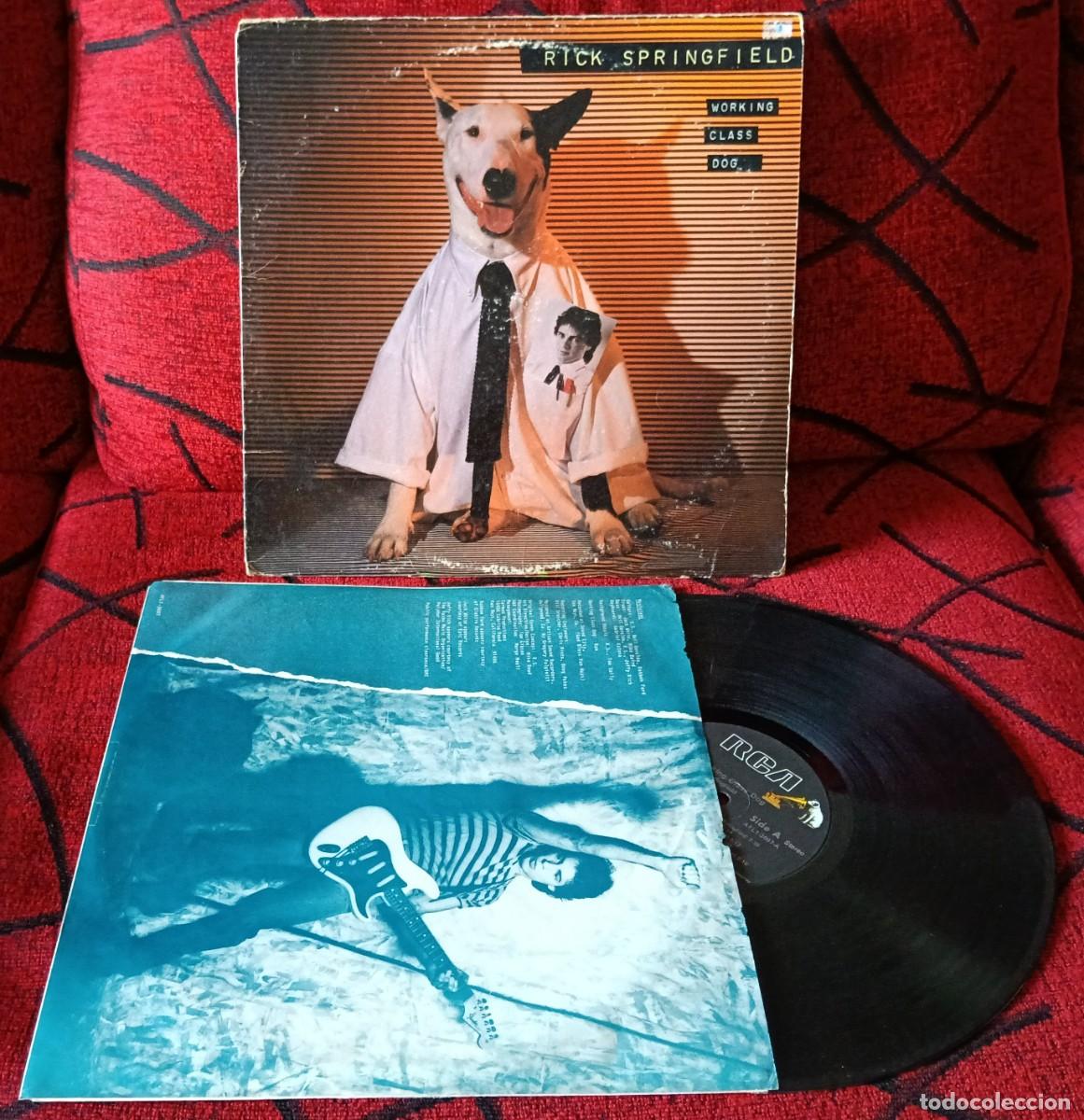 Discos de vinilo: RICK SPRINGFIELD ** Working Class Dog ** 1981 USA LP VINILO - Foto 1