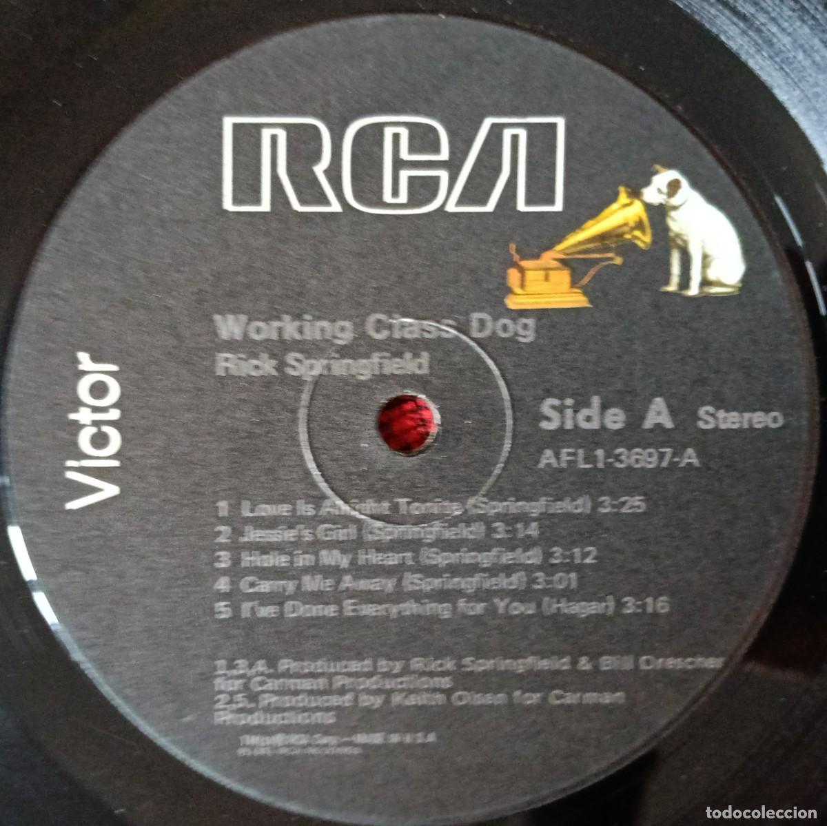 Discos de vinilo: RICK SPRINGFIELD ** Working Class Dog ** 1981 USA LP VINILO - Foto 3
