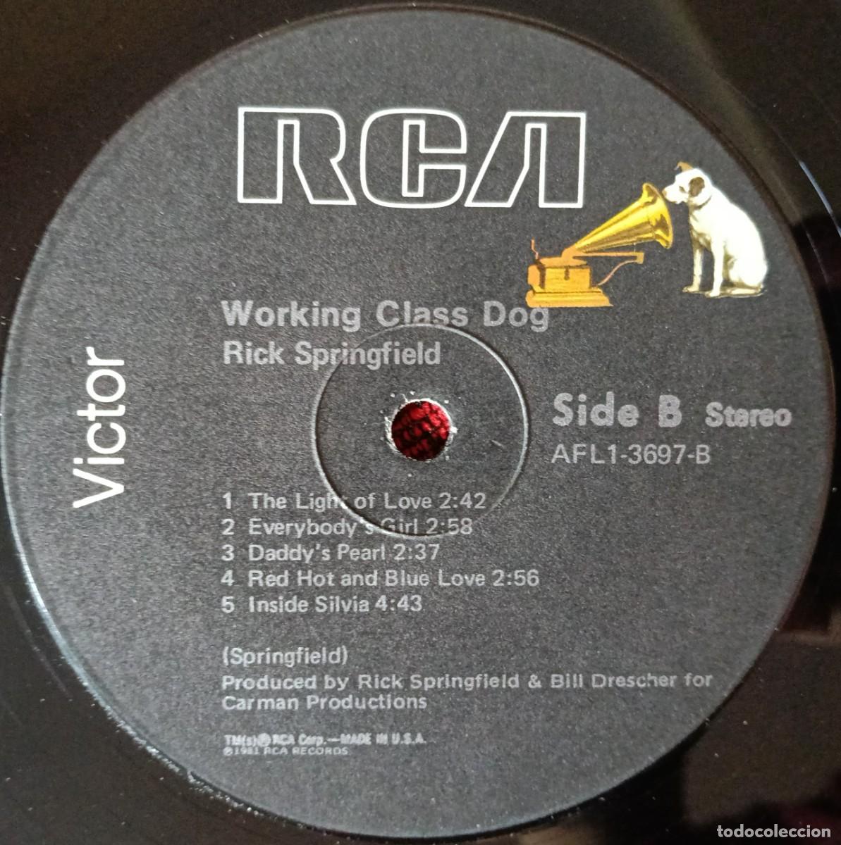 Discos de vinilo: RICK SPRINGFIELD ** Working Class Dog ** 1981 USA LP VINILO - Foto 4