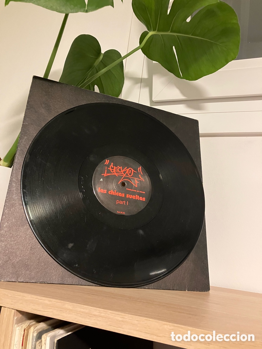 Discos de vinilo: Gecko -Las Chicas Sueltas - Foto 6