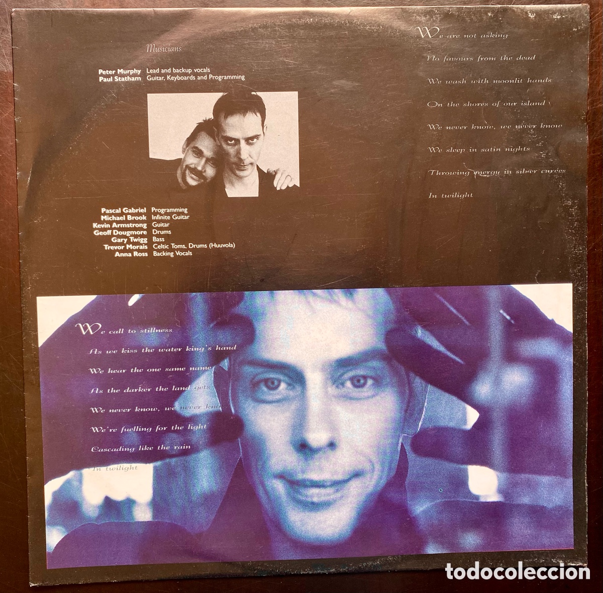 Discos de vinilo: Peter Murphy - Cascade - Foto 3