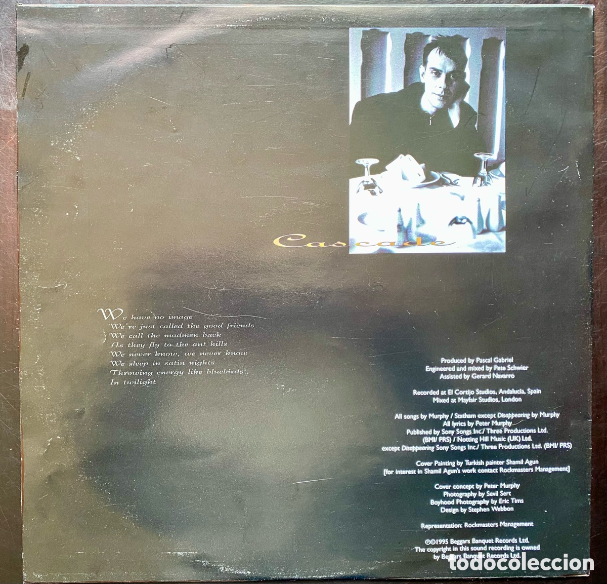 Discos de vinilo: Peter Murphy - Cascade - Foto 4