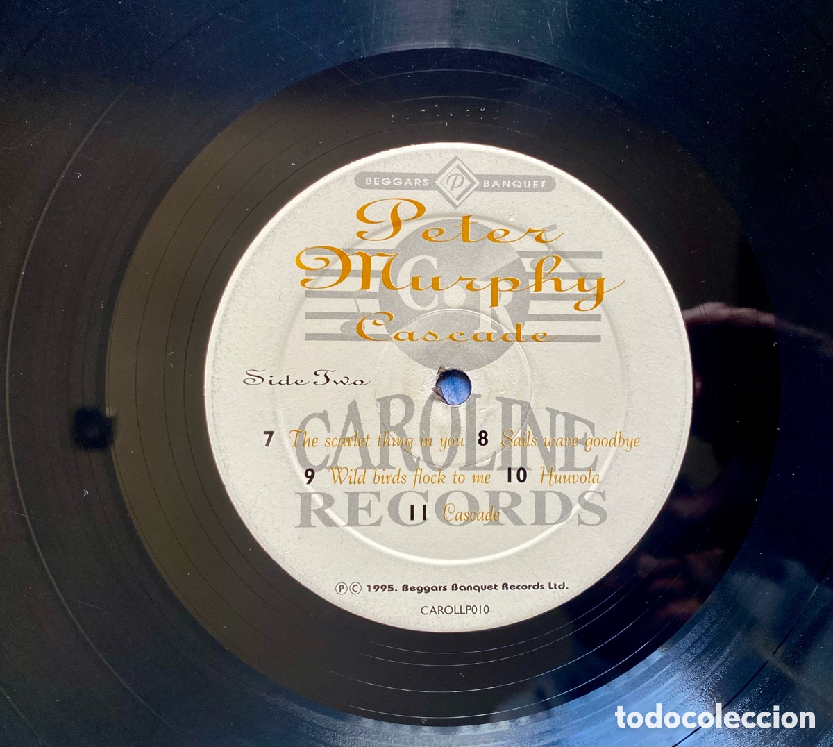 Discos de vinilo: Peter Murphy - Cascade - Foto 6