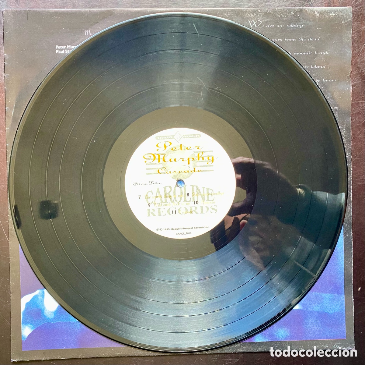 Discos de vinilo: Peter Murphy - Cascade - Foto 8