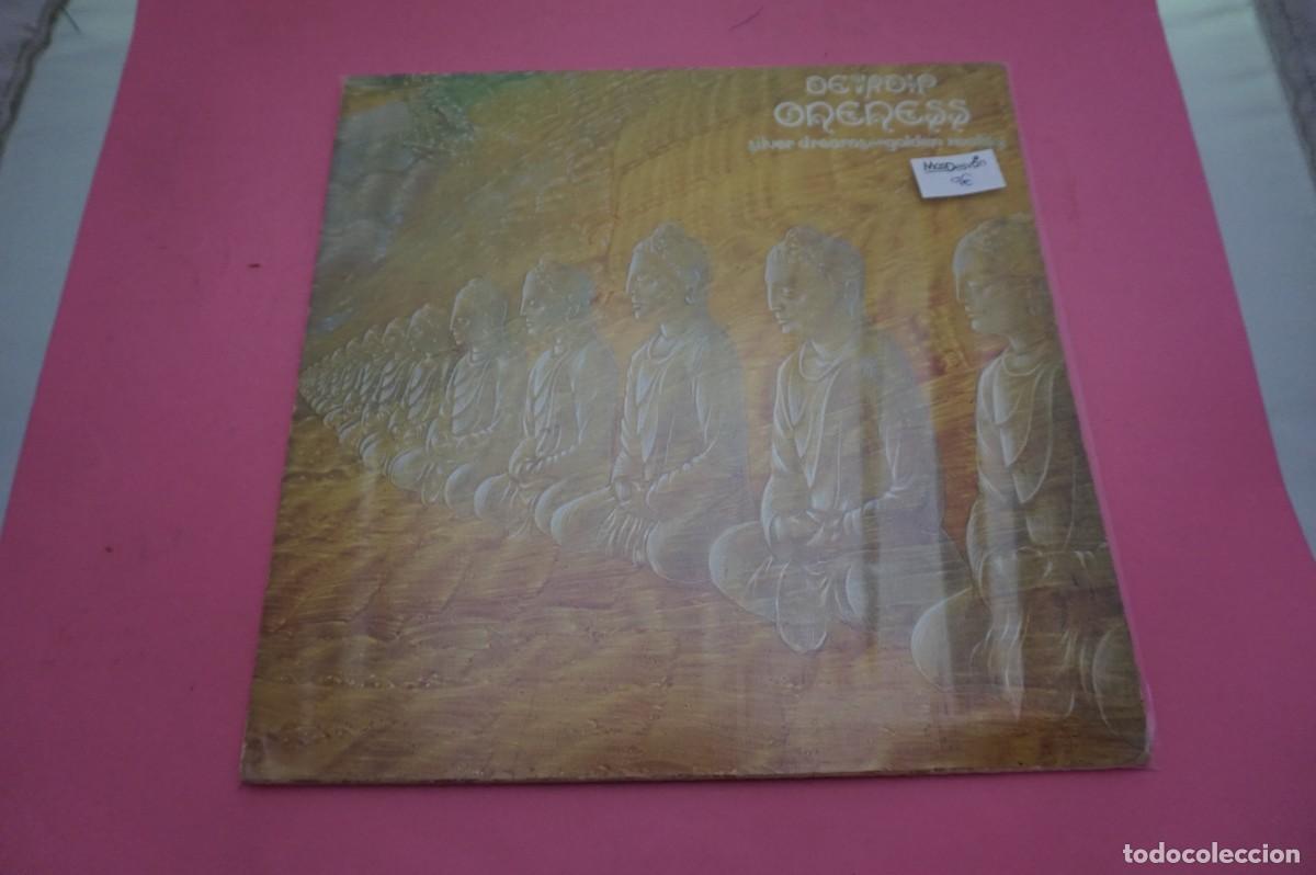 Discos de vinilo: LP - Devadip &ndash; Oneness (Silver Dreams~Golden Reality) - Foto 1