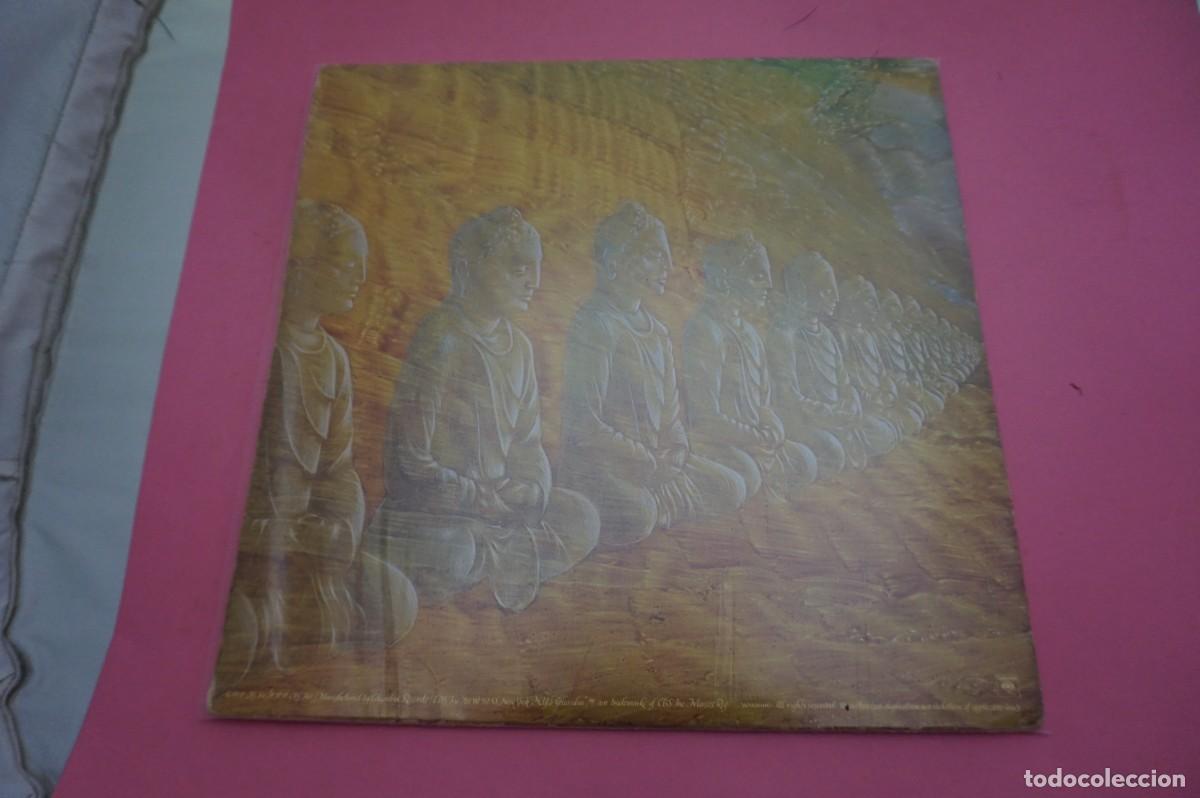 Discos de vinilo: LP - Devadip &ndash; Oneness (Silver Dreams~Golden Reality) - Foto 4