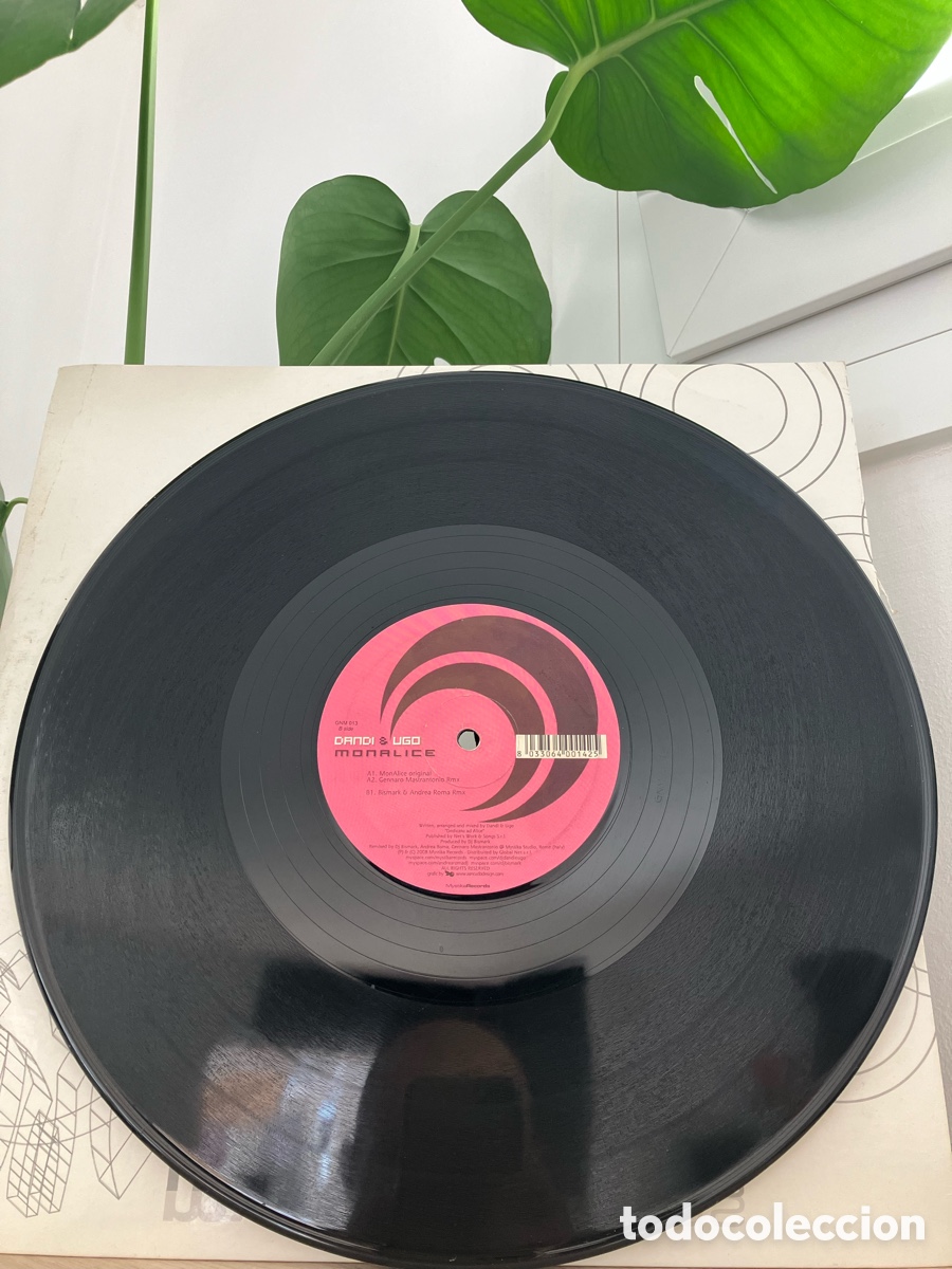 Discos de vinilo: Dandi & Ugo -MonAlice - Foto 3